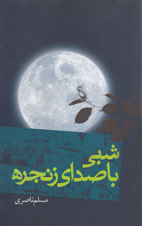 خاطرات سید آزادگان «علی اکبر ابوترابی» در کتاب «شبی با صدای زنجره»
