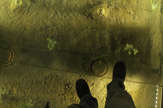 The Ashuraee Martyr of Zahir Battalion The Ashuraee Martyr of Zahir Battalion