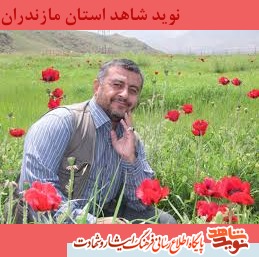 زندگينامه شهيد مدافع حرم سردار حاج اسماعيل حيدرى