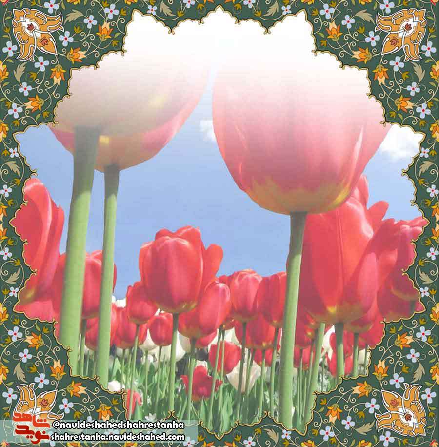 اسناد فرهنگی/ اشعار سروده شده «شهید محمدرضا زینالی» اسناد فرهنگی/ اشعار سروده شده «شهید محمدرضا زینالی»