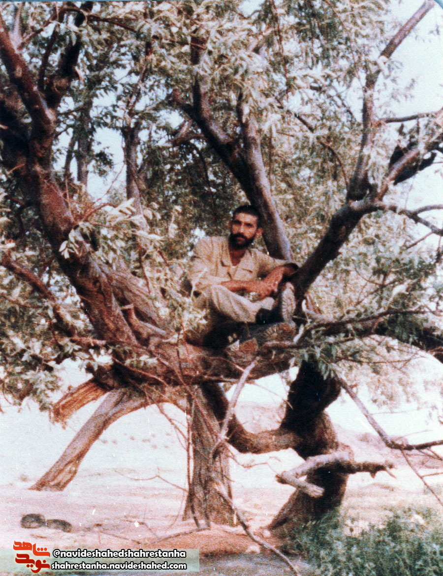 شهید شهید