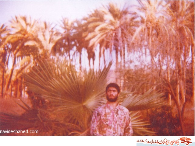 شهید و شهادت در کلام شهید و شهادت در کلام
