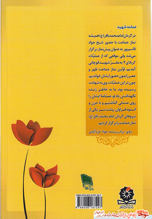 خاطرات فیروزه ای