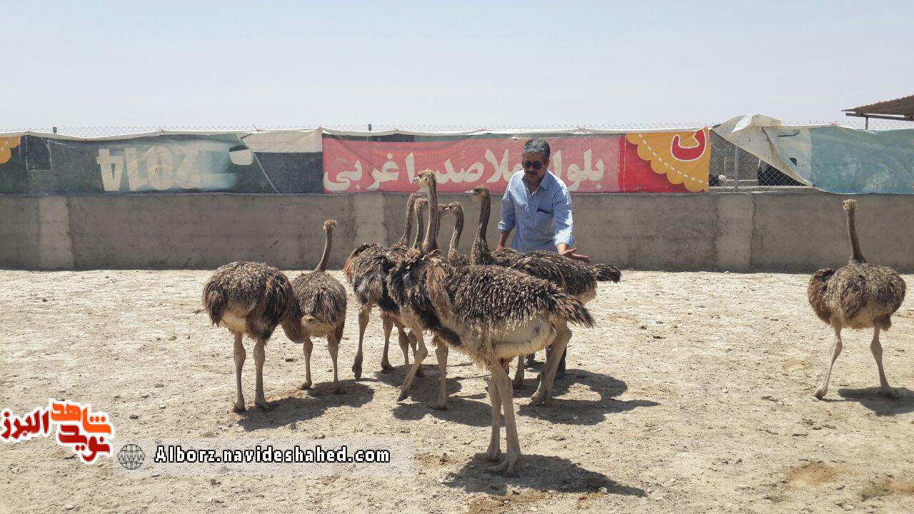 روایتی از همت کارآفرین دوران دفاع مقدس