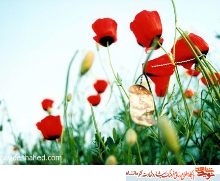 کلام شهید علی ناصری/ چه روزگار شگفتی! کلام شهید علی ناصری/ چه روزگار شگفتی!