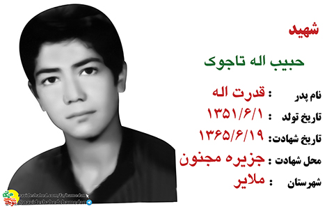 زندگینامه بسیجی شهید حبیب الله تاجوک