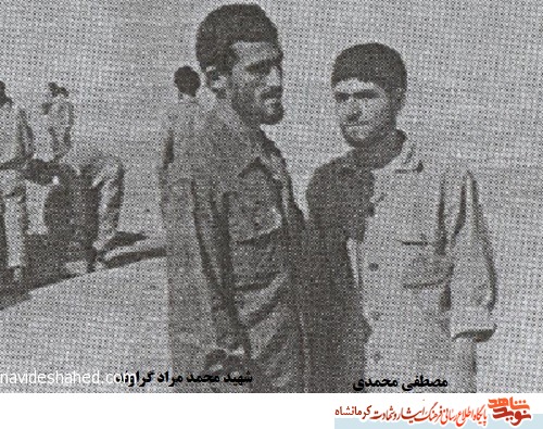 شاید فرمانده ام راضی نباشد
