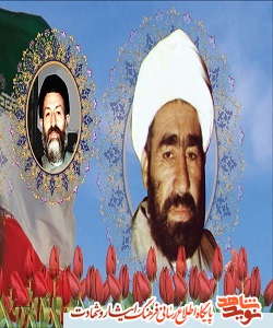 همسر شهیدطیبی: همسر شهیدطیبی: