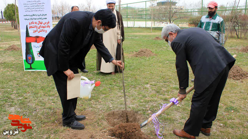 مسئولان قزوین ۳۰۰ اصله نهال غرس کردند