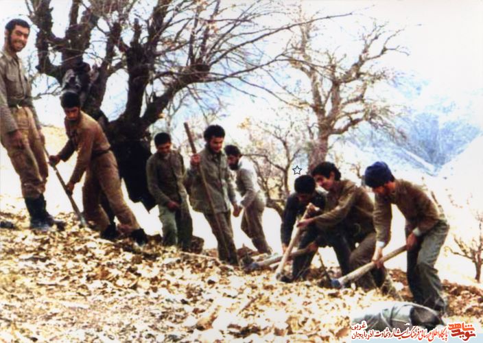 آلبوم عکس/شهید «مقصود جبلی»