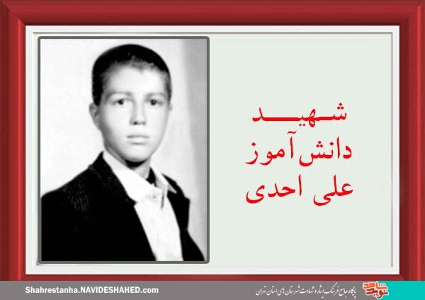 تداوم راه شهدا در کلام شهید دانش‌آموز 