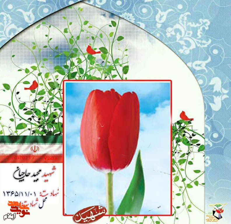 نوگلانی که در آغوش مادر پرپر شدند نوگلانی که در آغوش مادر پرپر شدند