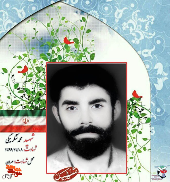 نگاهی به زندگینامه شهید محمد شکربیگی + تصاویر نگاهی به زندگینامه شهید محمد شکربیگی + تصاویر
