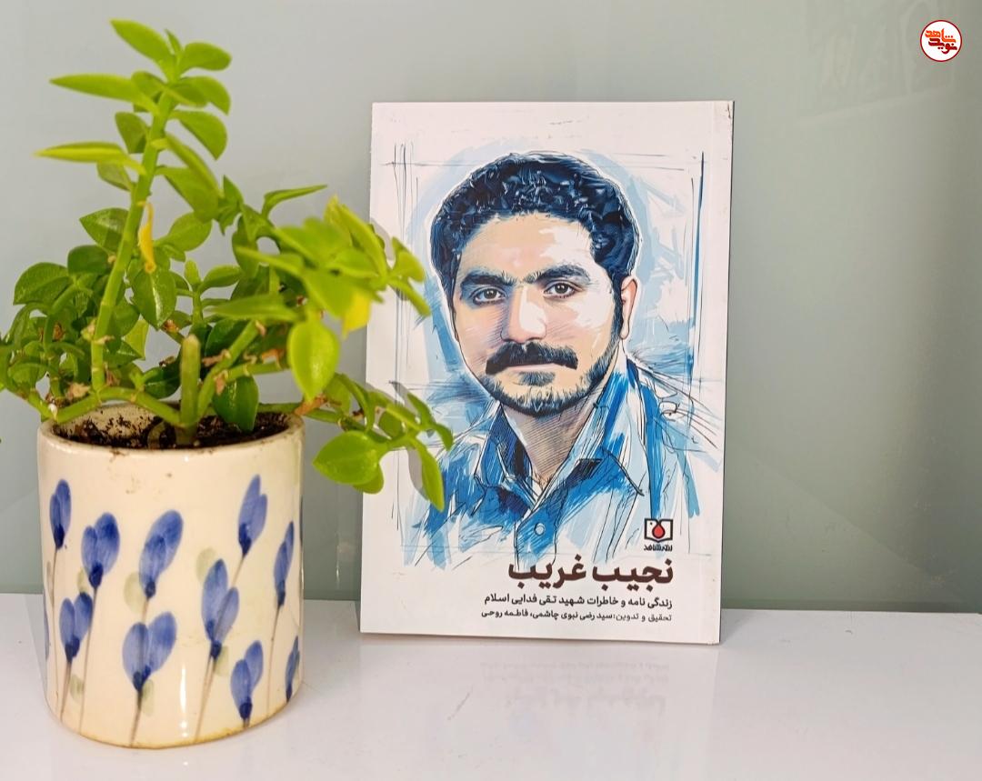 کتاب «نجیب غریب» منتشر شد