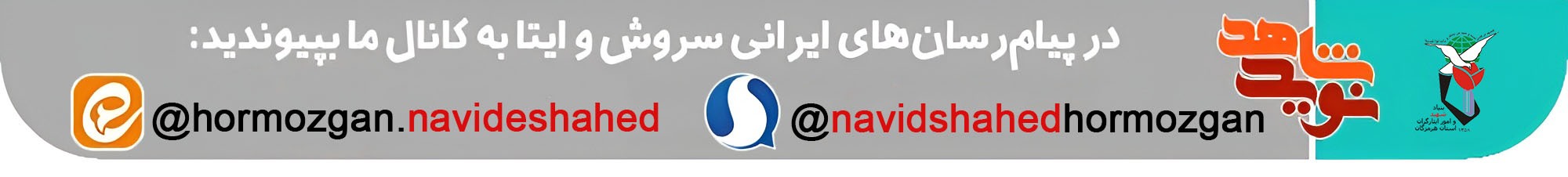 تصاویر به یادگار مانده از شهید «حسین دامن‌باغ»