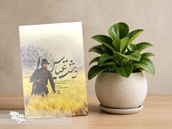 «دشت عباس»؛ روایتی از غربت یک شهید در اسارت خواندنی شد