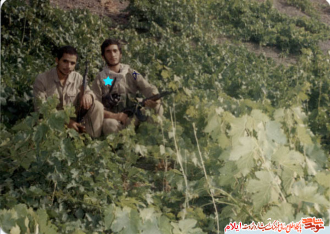 شهید مراد ثباتی