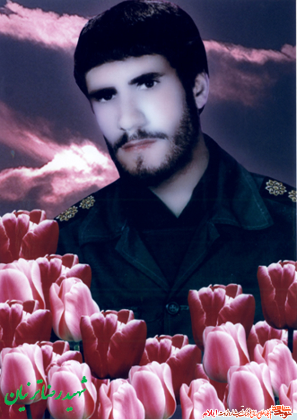 شهید رضا ترنیان