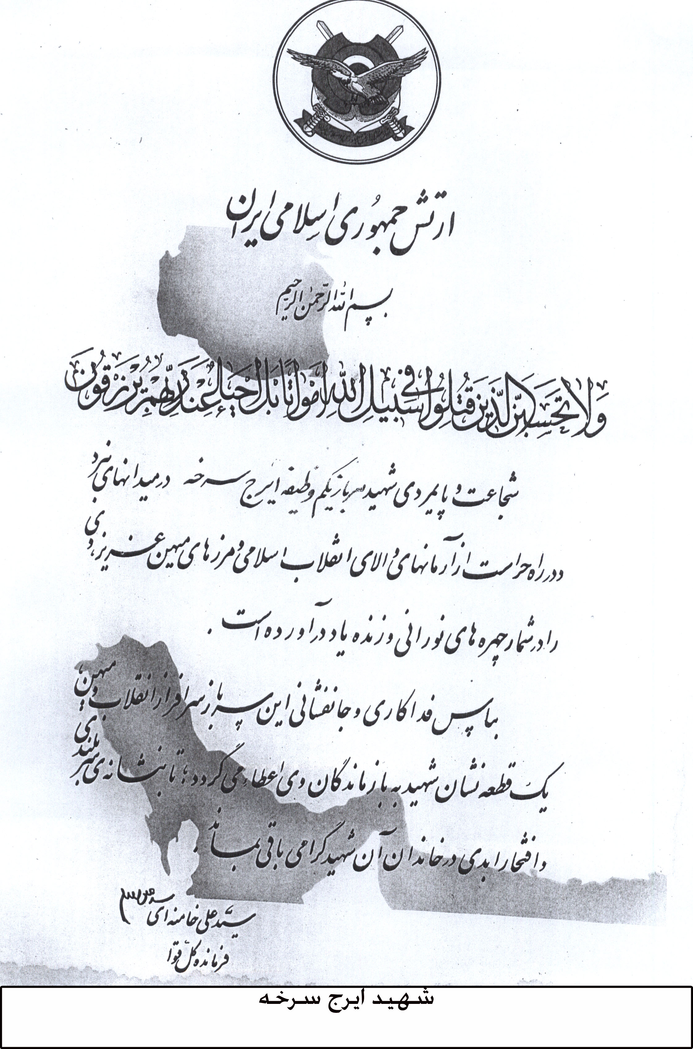 سایر