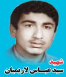 شهید سید عباس لاریمیان
