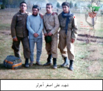 عکس دسته جمعی